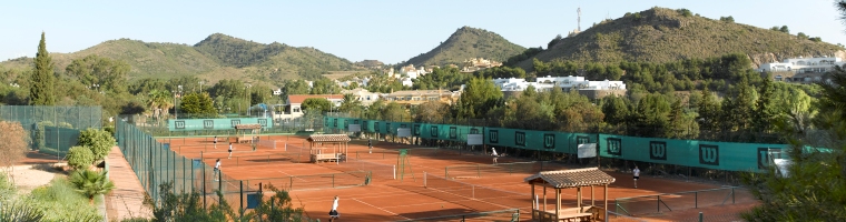 Lion Mountain