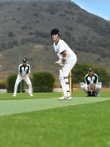 Cricket